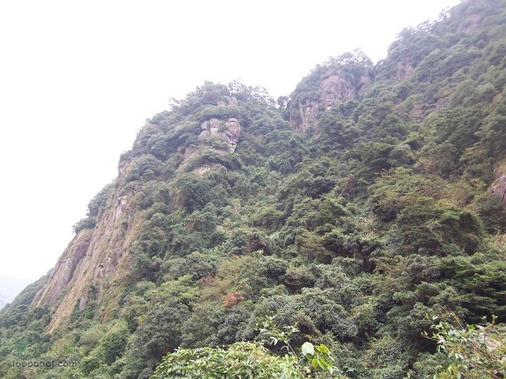 鼓岭古道－鼓岭牛头寨－鳝溪2011_1211_130656