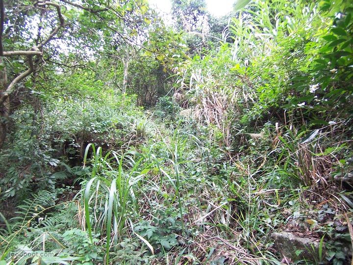 鼓岭古道－鼓岭牛头寨－鳝溪2011_1211_131755