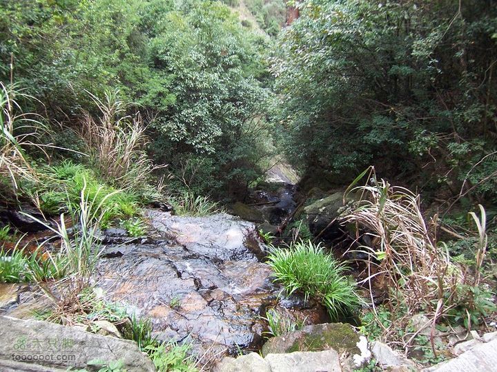 鼓岭古道－鼓岭牛头寨－鳝溪2011_1211_150633