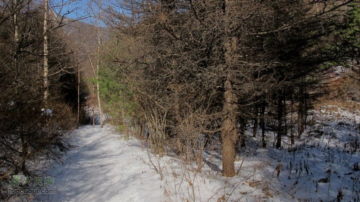 【西南步兵】高山草甸踏雪IMG_1234