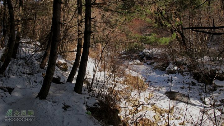【西南步兵】高山草甸踏雪IMG_1235
