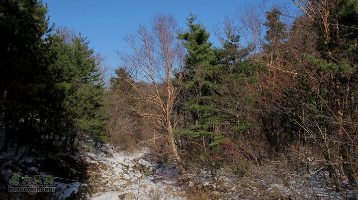 【西南步兵】高山草甸踏雪IMG_1236