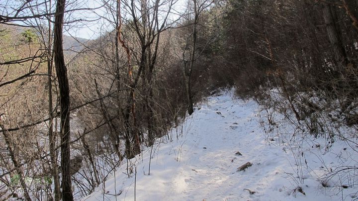【西南步兵】高山草甸踏雪IMG_1237