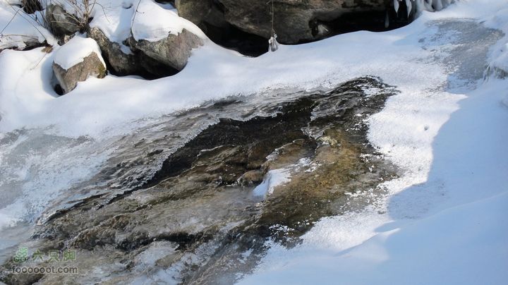 【西南步兵】高山草甸踏雪IMG_1241