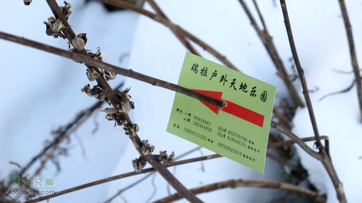 【西南步兵】高山草甸踏雪IMG_1245