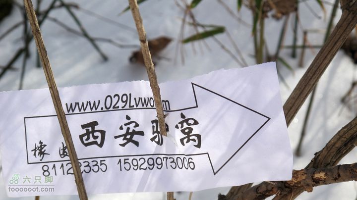【西南步兵】高山草甸踏雪IMG_1248