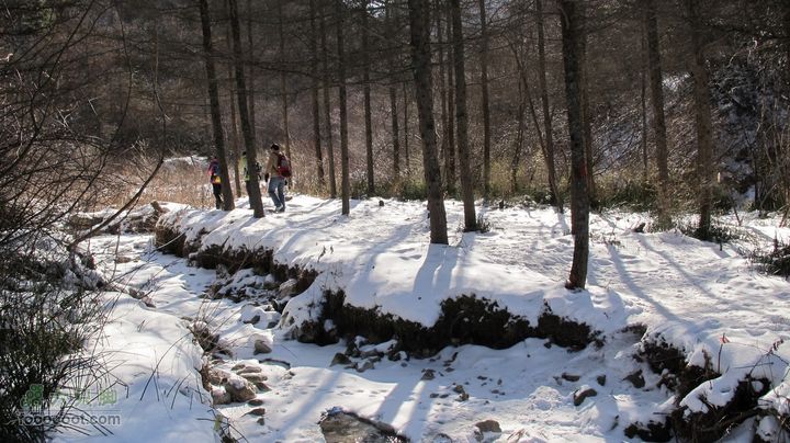 【西南步兵】高山草甸踏雪IMG_1262