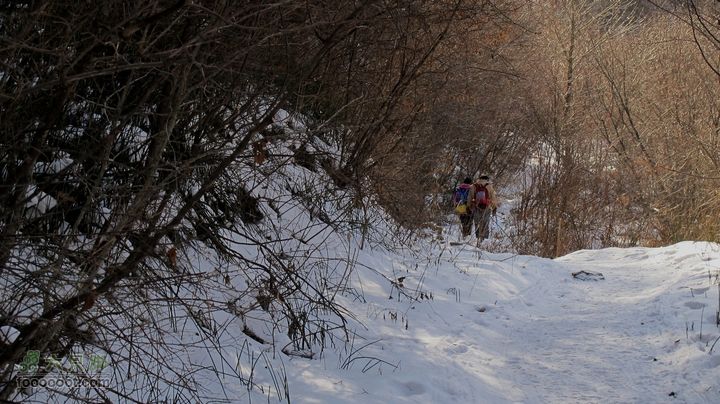 【西南步兵】高山草甸踏雪IMG_1265
