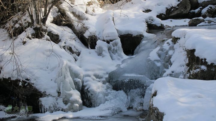 【西南步兵】高山草甸踏雪IMG_1275