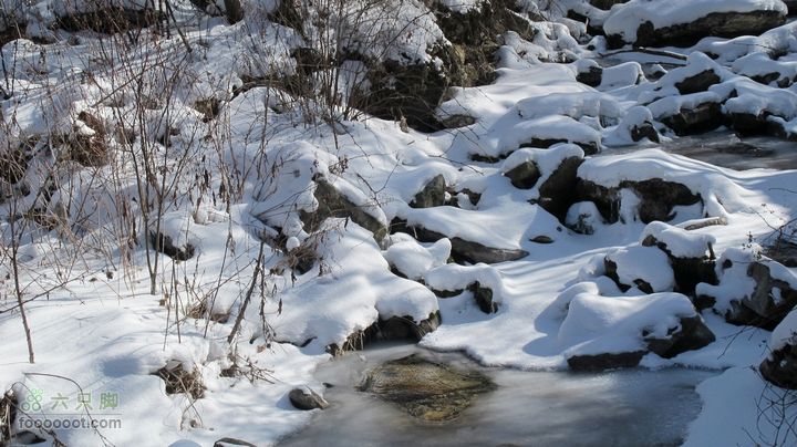 【西南步兵】高山草甸踏雪IMG_1278