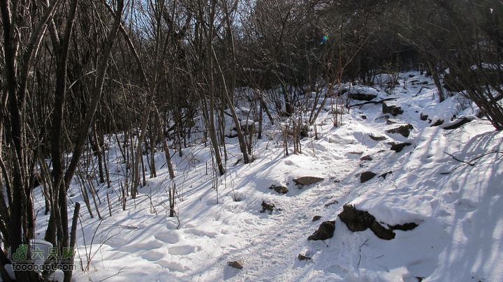 【西南步兵】高山草甸踏雪IMG_1279