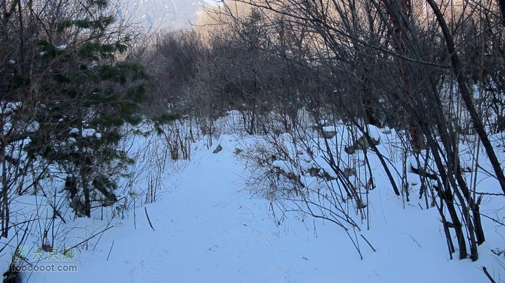 【西南步兵】高山草甸踏雪IMG_1282
