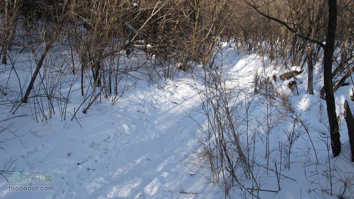 【西南步兵】高山草甸踏雪IMG_1293