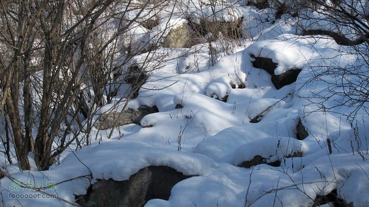 【西南步兵】高山草甸踏雪IMG_1294