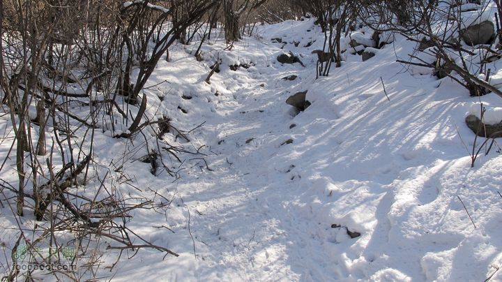 【西南步兵】高山草甸踏雪IMG_1295