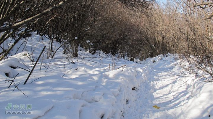 【西南步兵】高山草甸踏雪IMG_1297