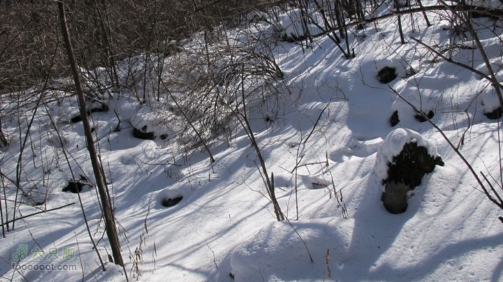 【西南步兵】高山草甸踏雪IMG_1301