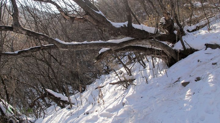 【西南步兵】高山草甸踏雪IMG_1304