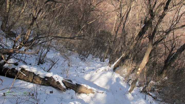 【西南步兵】高山草甸踏雪IMG_1307