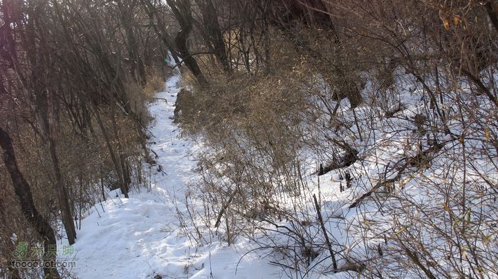 【西南步兵】高山草甸踏雪IMG_1308