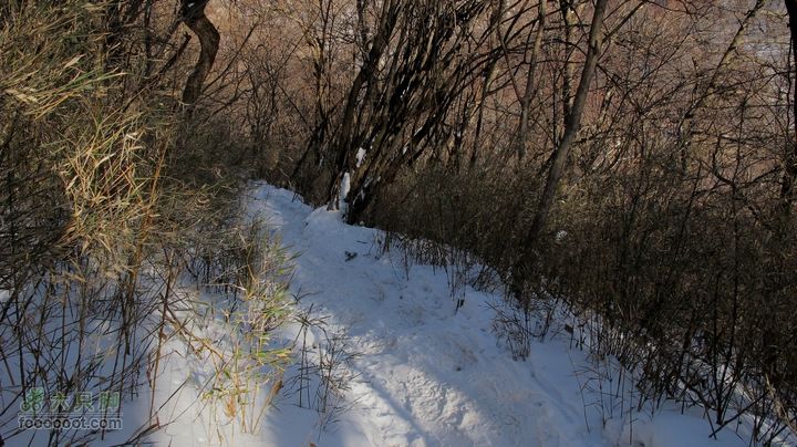 【西南步兵】高山草甸踏雪IMG_1309