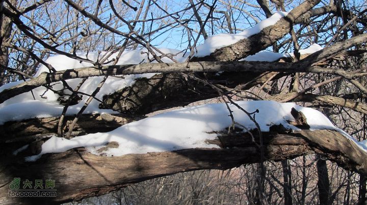 【西南步兵】高山草甸踏雪IMG_1313