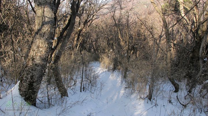 【西南步兵】高山草甸踏雪IMG_1314