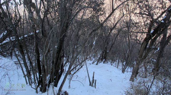 【西南步兵】高山草甸踏雪IMG_1315
