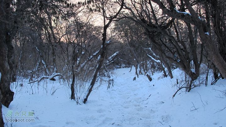 【西南步兵】高山草甸踏雪IMG_1316