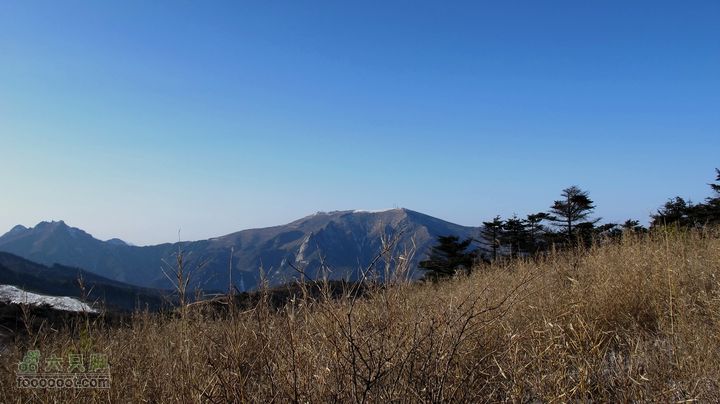 【西南步兵】高山草甸踏雪IMG_1323