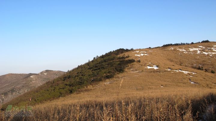 【西南步兵】高山草甸踏雪IMG_1335
