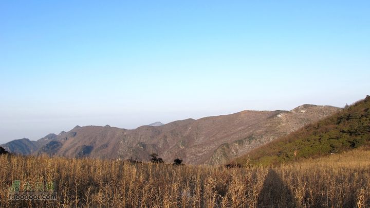 【西南步兵】高山草甸踏雪IMG_1336