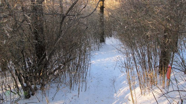 【西南步兵】高山草甸踏雪IMG_1337