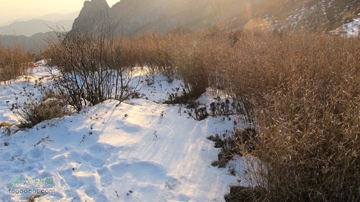 【西南步兵】高山草甸踏雪IMG_1344