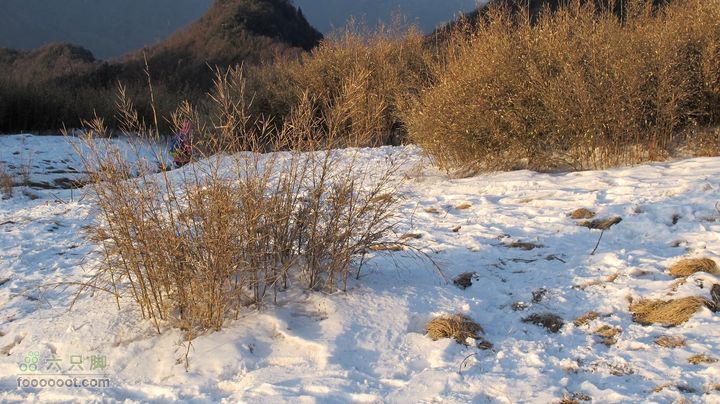 【西南步兵】高山草甸踏雪IMG_1347