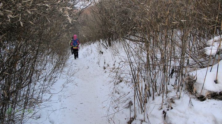 【西南步兵】高山草甸踏雪IMG_1348