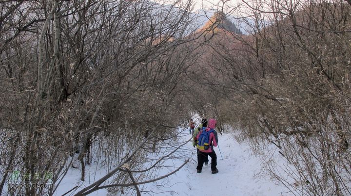 【西南步兵】高山草甸踏雪IMG_1349