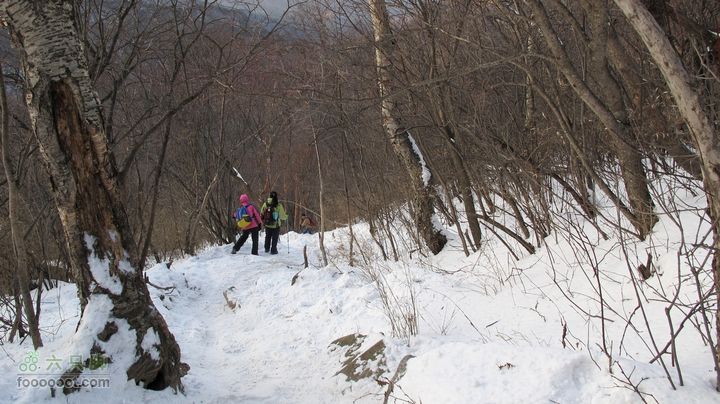 【西南步兵】高山草甸踏雪IMG_1351
