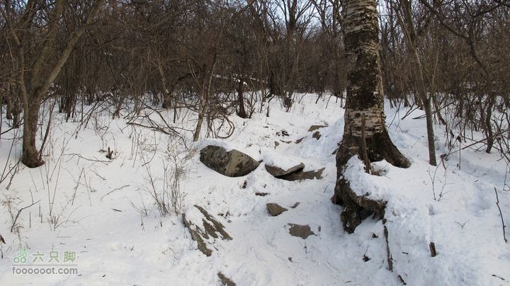 【西南步兵】高山草甸踏雪IMG_1352