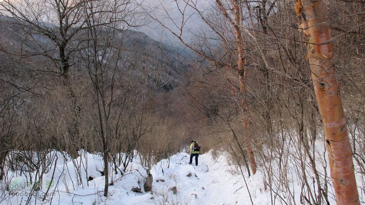 【西南步兵】高山草甸踏雪IMG_1357