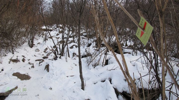 【西南步兵】高山草甸踏雪IMG_1359