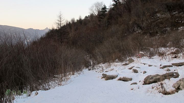 【西南步兵】高山草甸踏雪IMG_1362