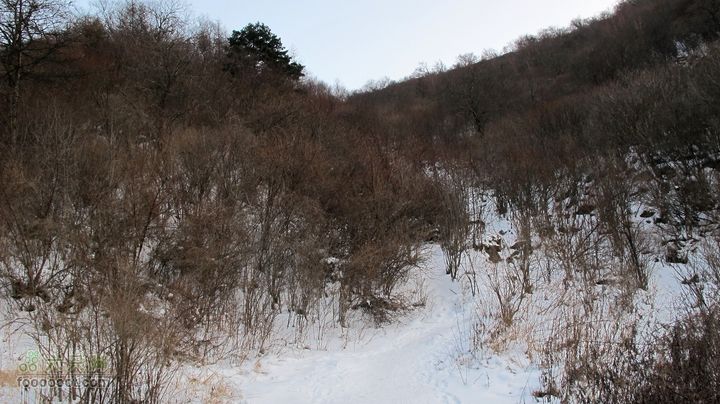 【西南步兵】高山草甸踏雪IMG_1363