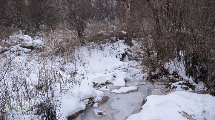 【西南步兵】高山草甸踏雪IMG_1365