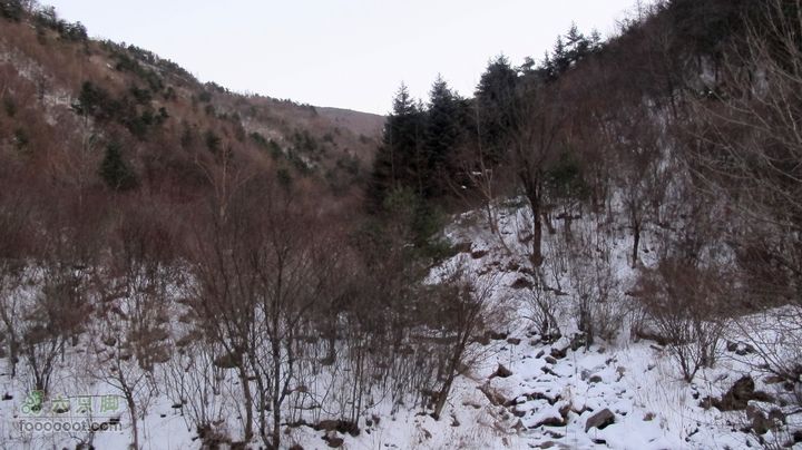 【西南步兵】高山草甸踏雪IMG_1366