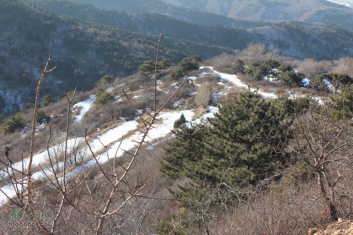 板寺山圣母堂圣诞徒步IMG_6821