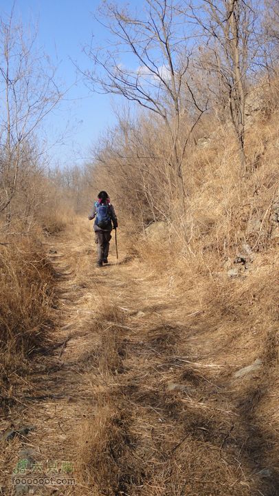 20111224再走灰地-铁陀山-灰地DSC07383