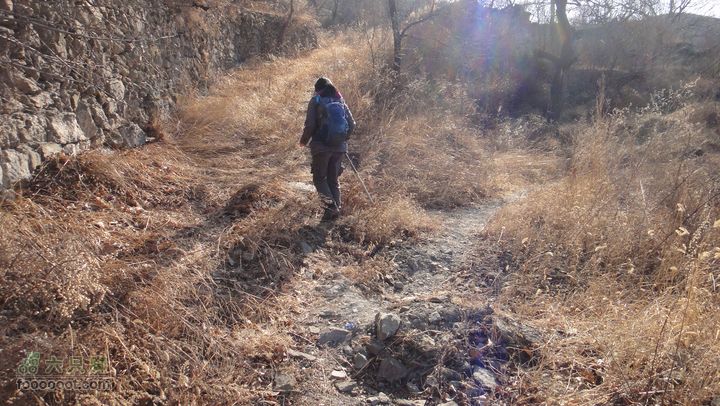 20111224再走灰地-铁陀山-灰地DSC07395