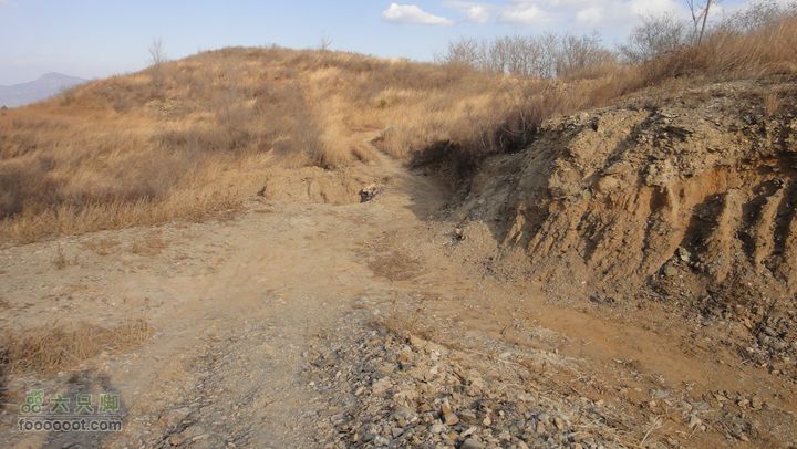 20111224再走灰地-铁陀山-灰地DSC07402