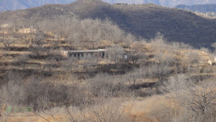 20111224再走灰地-铁陀山-灰地DSC07403